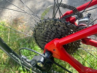 Gravel Giant Revolt vel L. - 7