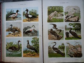 GROSSER HANDATLAS - 7