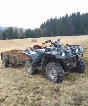 Yamaha grizzly 600 4x4 - 7
