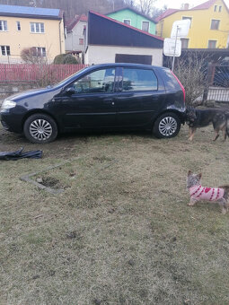 Fiat punto - 7