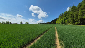 Prodej pozemku 5776 m2 v Borové u Poličky, okr. Svitavy - 7