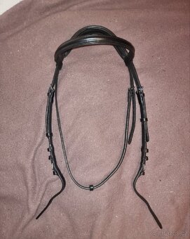 Uzdečka s mexickým nánosníkem - 7