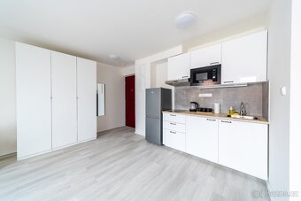 Стильна 2kk квартира в центрі Праги (Žižkov) - 7