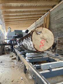 Kmenová pásová pila Pilous CTR 800h - 7
