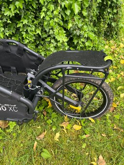 Burley Coho XC - 7