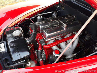 Healey Abbott - 7