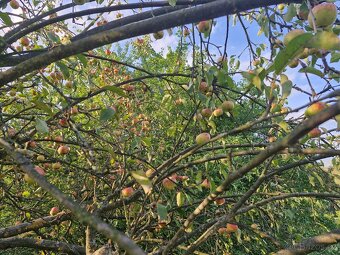 Prodej - pozemek ke stavbě rodinného domu - Štramberk - 7