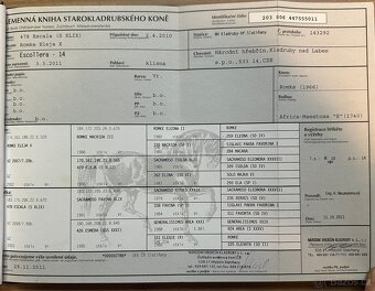 Starokladrubský vraník 14 let - 7
