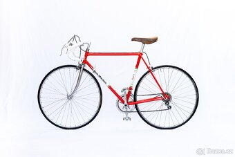 Flandria Freddy Maertens 1975 - 7