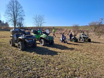 Arctic cat - 7