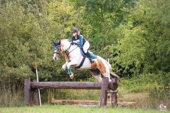 Charakterní klisna - 7