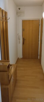 pronajem bytu 2+1 s Balkonem - 7