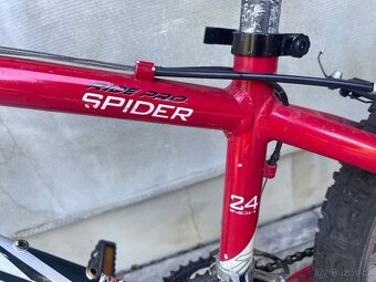 Kolo 24” Leader fox - 7