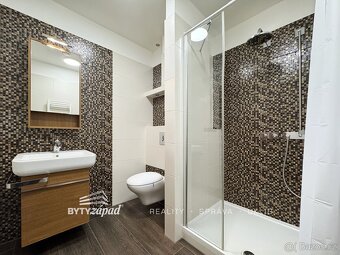 Pronájem světlého bytu s klimatizací, 1+kk, 32 m2 v Plzeň -  - 7