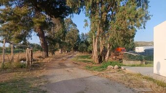 Sicílie, vila 3+kk, 114 m2, poz. 550 m2, Pace del Mela - 7