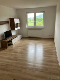 Hezký, nízkoenergetický zánovní byt 1+1 42m2 v KV-Dvory - 7