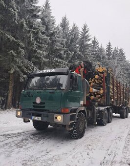 Tatra Terno 1, Euro 2 - 7