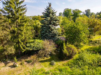 Prodej krásné zahrady 1.532 m2 v Rajhradě - 7