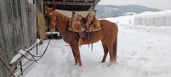 Prodej květen- červen - 7