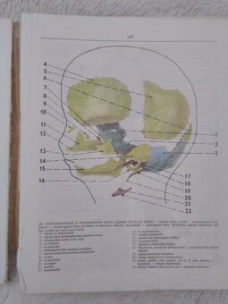 ANATOMIE 1,2,3 díly - Mudr. R. Číhák - 7