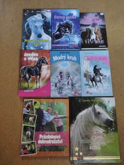 Knihy pro děti, příběhy o koních - 7