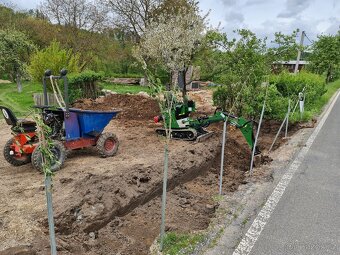 Dumper Deutz Diesel - 7