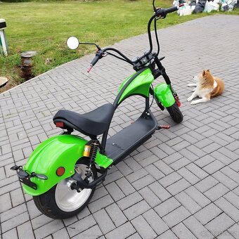 Chopper 2000W - 7