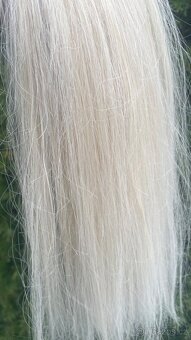 Středoevropské vlasové pasky - 7