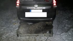 Nosič na zvěř pákový sklopný bez světel - 7