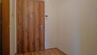 Podnájem 1+1 +park.+sklep, 40m2 (Františkov, ul. Švermova) - 7
