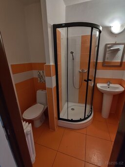 Pronájem bytu 1+1 v OV - 7
