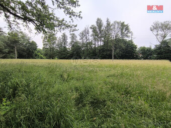Prodej lesa, 20 128 m², Střelské Hoštice - 7