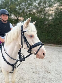 Prodám sportovního pony S - 7