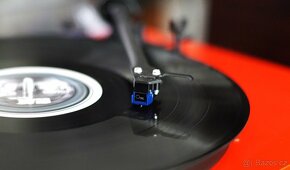 PRO-JECT DEBUT III COLOR RED s new SUMIKO OYSTER - 7