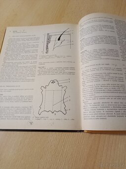 Polygrafické názvosloví, Technická grafika - 7