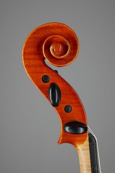 Mistrovská viola Werner Barth - 7