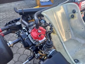 Motokára Sodi ROTAX 125 DD2 - 7