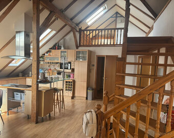 -----   ČIŽOVNÍ DŮM V BÍLINĚ    ----- - 7