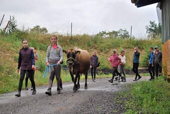 Jezdecké tábory / tábory u koní - 7