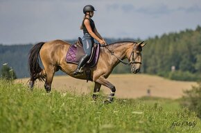 Extra Lusitano kobyla - 7