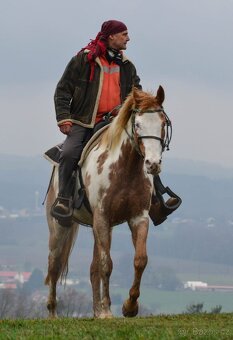 PRODAM VALACHA - 7