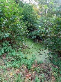 Usedlost Vysočina, 420m2, pozemek 3422m2 - 7