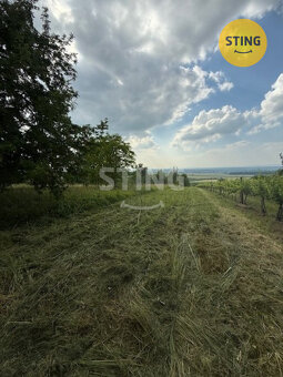 Exkluzivně vám nabízíme zahradu ve Strážnici v lokal, 132848 - 7