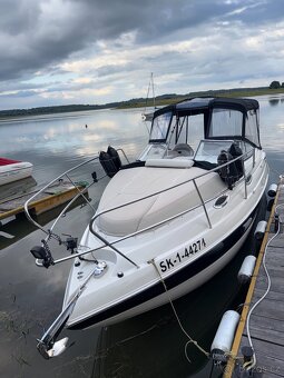 STINGRAY 250CS + príves - 7