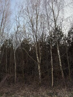 Prodám pozemky v k.ú. Stéblová - 7