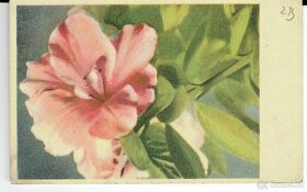 STARÉ POHLEDNICE - 7