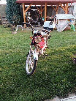 Jawa betka - 7