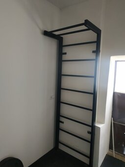 železné žebřiny ribstole s hrazdou - 7