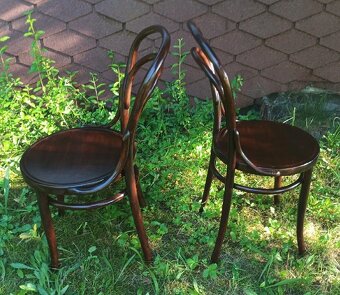 židle THONET 14 pevné  2 kusy - 7