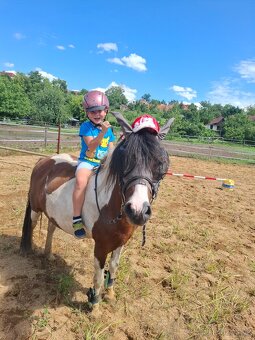 Pony kobyla - 7